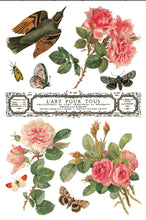 Load image into Gallery viewer, By Any Other Name IOD Transfer