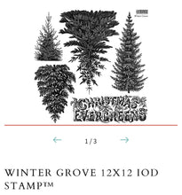 Load image into Gallery viewer, Winter Grove IOD Stamp