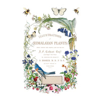 Load image into Gallery viewer, Flora Greca IOD Transfer