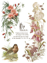 Load image into Gallery viewer, Flowers By The Poets IOD Transfer