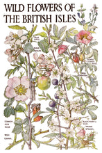 Load image into Gallery viewer, Primrose Isle IOD Transfer