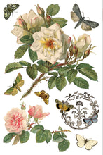 Load image into Gallery viewer, By Any Other Name IOD Transfer