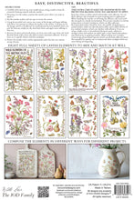 Load image into Gallery viewer, Primrose Isle IOD Transfer