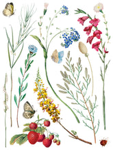 Load image into Gallery viewer, Marche des Fleurs IOD Transfer
