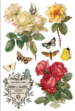 Load image into Gallery viewer, By Any Other Name IOD Transfer