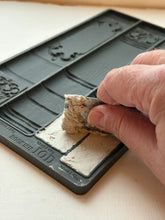 Load image into Gallery viewer, Bookish IOD Mould