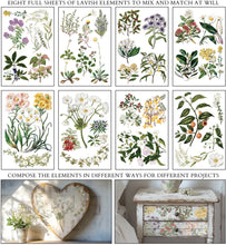 Load image into Gallery viewer, Sarah Featon’s Botanicals IOD Transfer