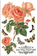 Load image into Gallery viewer, By Any Other Name IOD Transfer