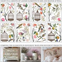 Load image into Gallery viewer, Menagerie IOD Transfer