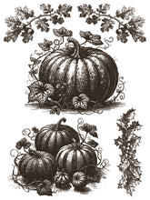 Load image into Gallery viewer, Gloria Paint Inlay IOD