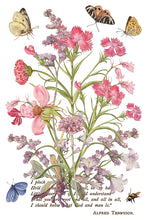 Load image into Gallery viewer, Primrose Isle IOD Transfer