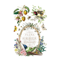 Load image into Gallery viewer, Flora Greca IOD Transfer