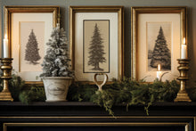 Load image into Gallery viewer, Gloria Paint Inlay IOD