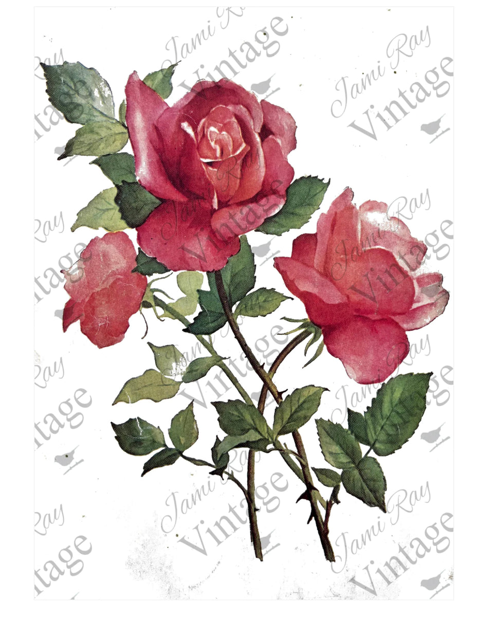 Roses JRV Rice Decoupage Paper A4 Decorizing Your Life