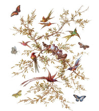 Load image into Gallery viewer, Madeleine IOD Transfer