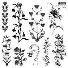 Load image into Gallery viewer, Connoisseur’s Library IOD Stamp
