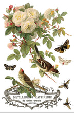 Load image into Gallery viewer, By Any Other Name IOD Transfer
