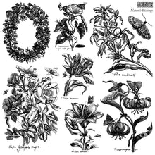 Load image into Gallery viewer, Nature’s Etchings IOD Stamp
