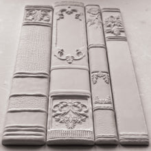 Load image into Gallery viewer, Bookish IOD Mould
