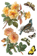 Load image into Gallery viewer, By Any Other Name IOD Transfer
