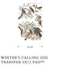 Load image into Gallery viewer, Winter’s Calling IOD Transfer
