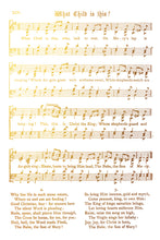 Load image into Gallery viewer, Gilded Tinsel IOD Transfer
