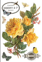 Load image into Gallery viewer, By Any Other Name IOD Transfer
