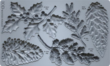 Load image into Gallery viewer, Winter Forage Mould
