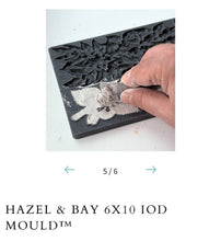 Load image into Gallery viewer, Hazel &amp; Bay IOD Mould
