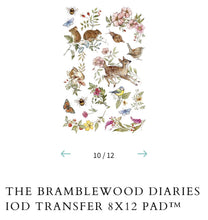 Load image into Gallery viewer, The Bramblewood Diaries IODTransfers
