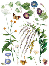 Load image into Gallery viewer, Marche des Fleurs IOD Transfer
