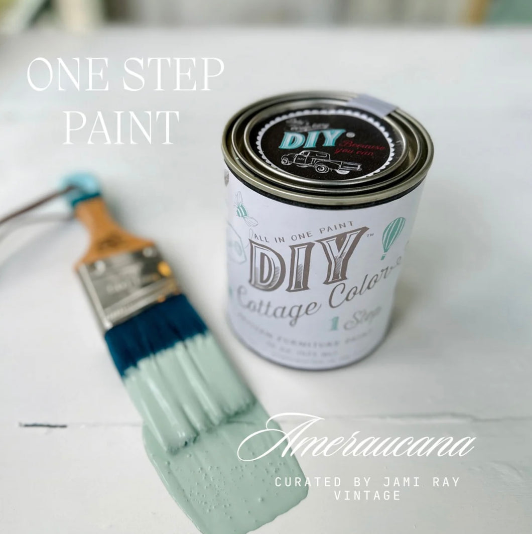 DIY One Step Paint Ameraucana