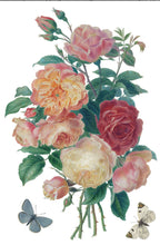 Load image into Gallery viewer, Saint Ouen IODTransfer
