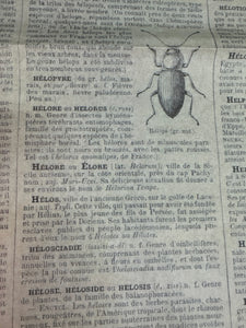Etymology Dictionary Page