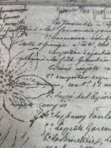 Floral Letter