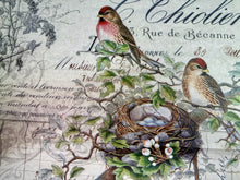 Load image into Gallery viewer, Birds Nest

