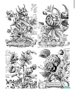 Classic Bouquets (Paintable) OLD FORMAT