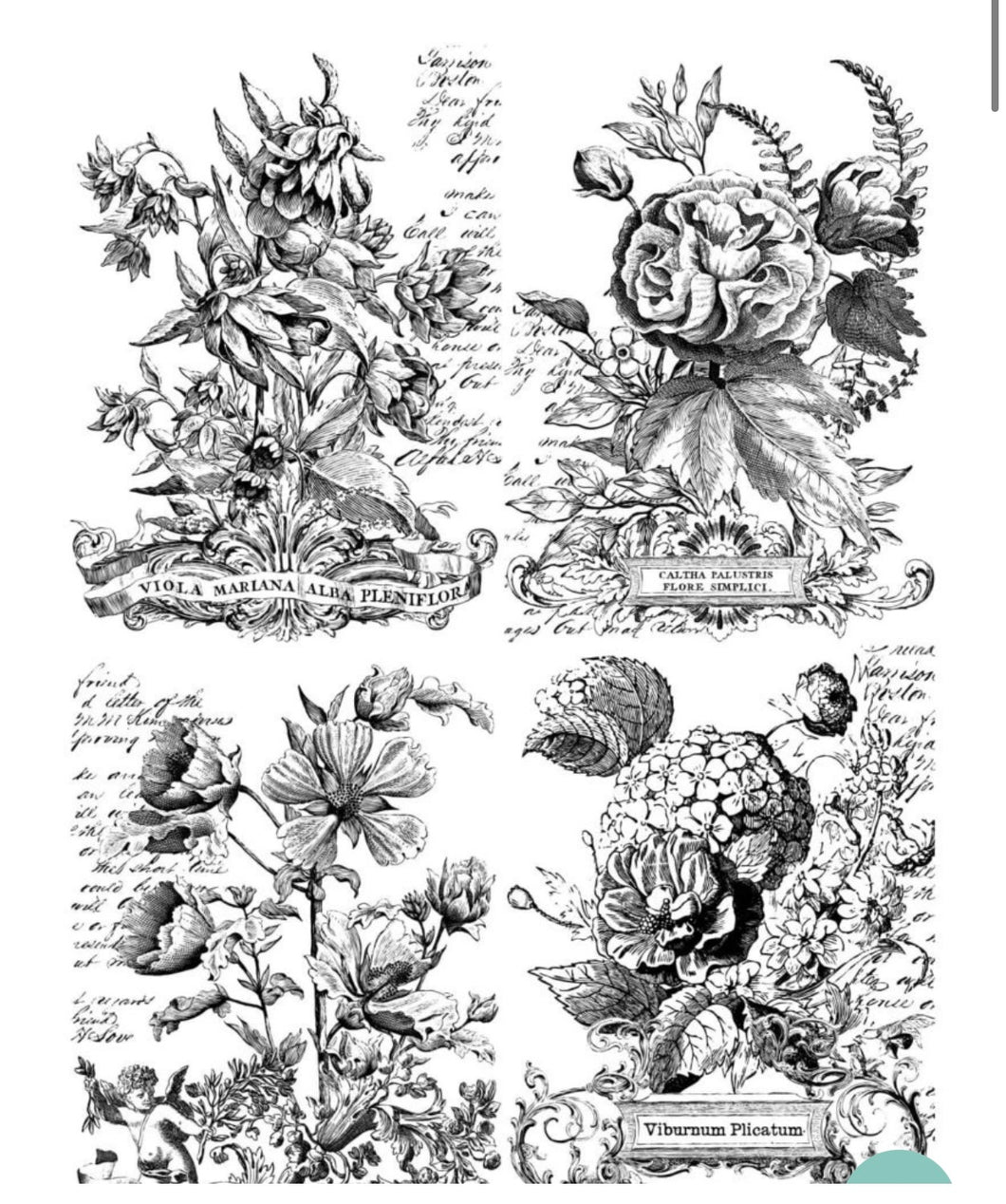 Classic Bouquets (Paintable) OLD FORMAT