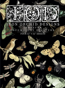 Entomology Iron Orchid Transfer (OLD FORMAT!) 24”x33”