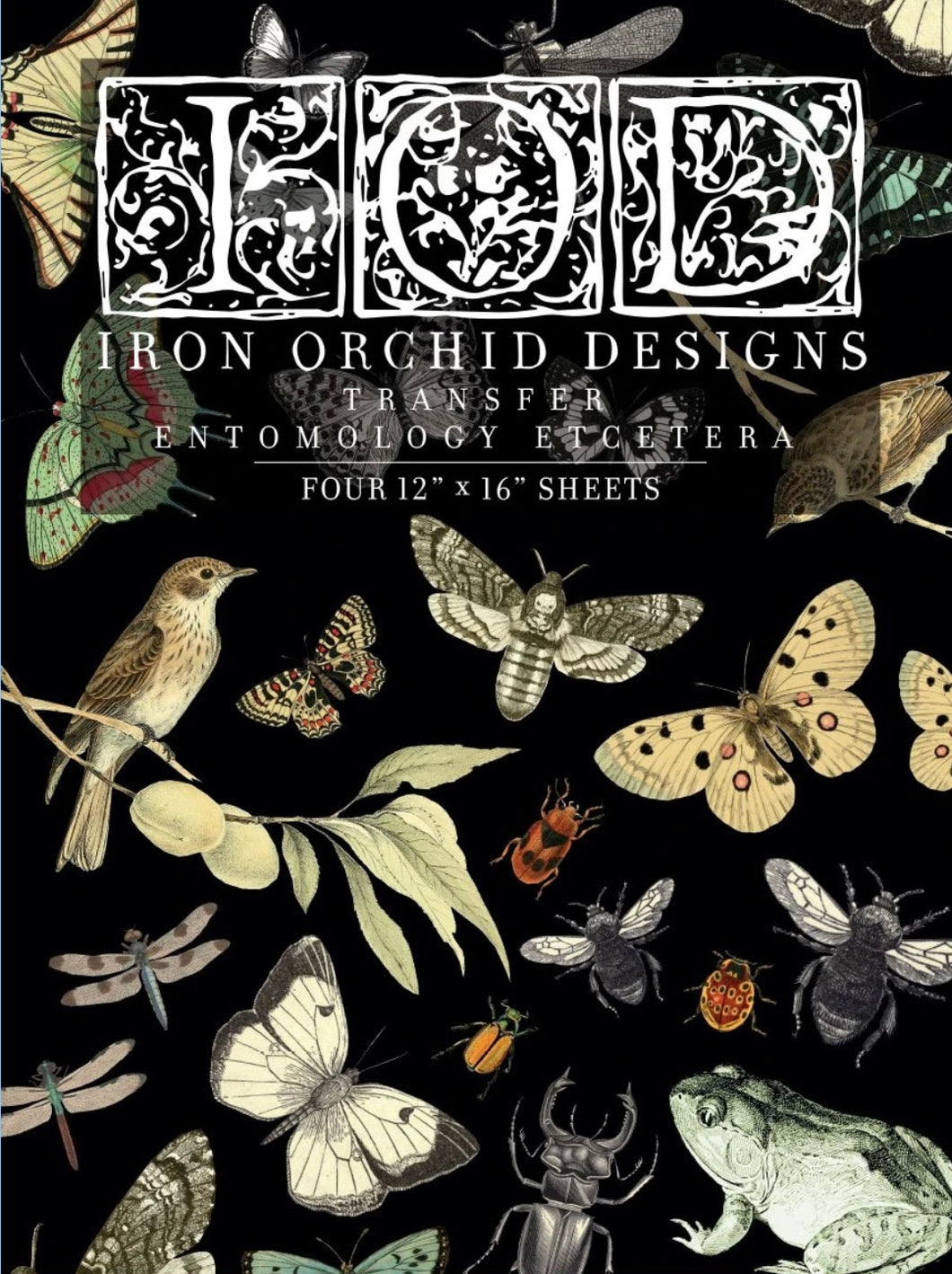Entomology Iron Orchid Transfer (OLD FORMAT!) 24”x33”