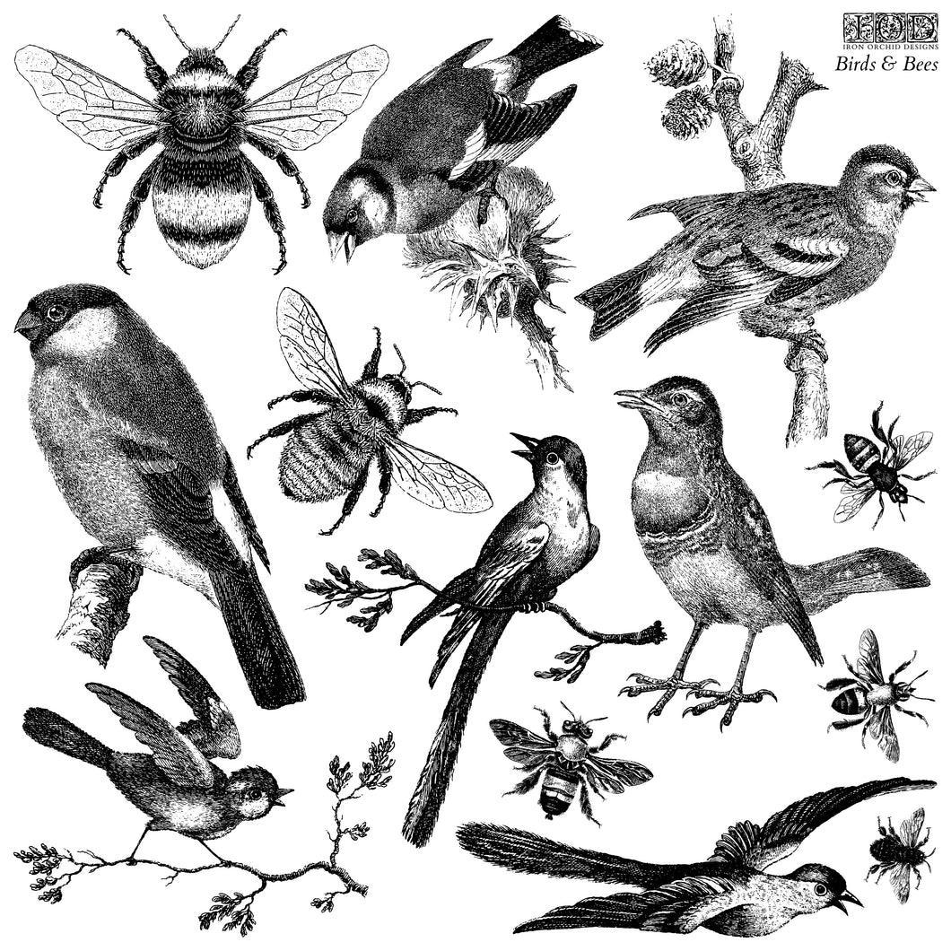 Birds and Bees 12