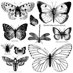 Butterfly Stamps
