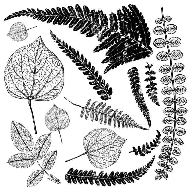 Fronds Stamp