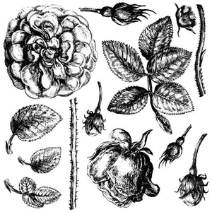 Lady Shallot Stamp