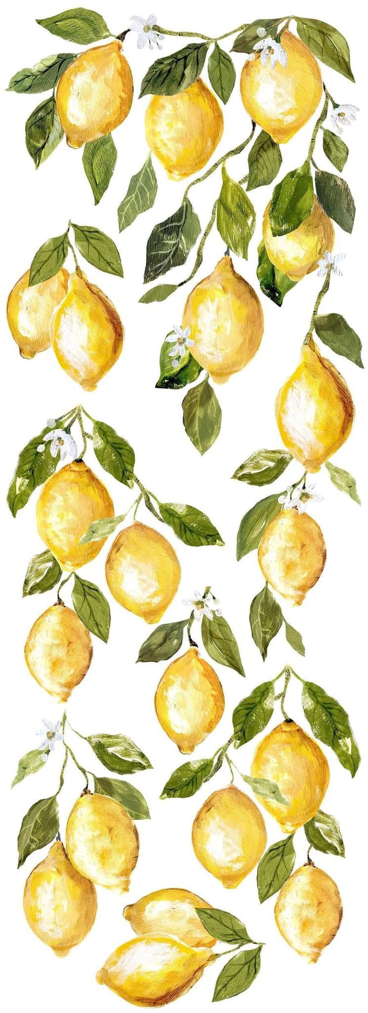 Lemon drops Transfer New Format