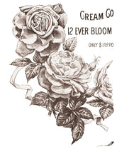 Load image into Gallery viewer, May&#39;s Roses Four-Page Decor Transfer™ In Pad Format
