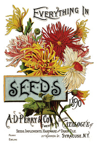 Seed Catalogue Eight-Page Decor Transfer™ In 8" x 12" Pad Format