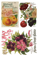 Load image into Gallery viewer, Seed Catalogue Eight-Page Decor Transfer™ In 8&quot; x 12&quot; Pad Format
