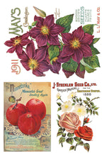 Load image into Gallery viewer, Seed Catalogue Eight-Page Decor Transfer™ In 8&quot; x 12&quot; Pad Format
