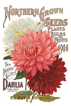 Load image into Gallery viewer, Seed Catalogue Eight-Page Decor Transfer™ In 8&quot; x 12&quot; Pad Format
